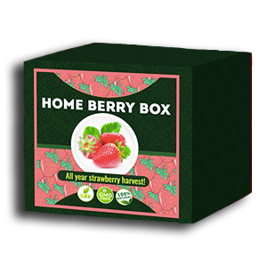 Home Berry Box комплект за отглеждане на ягоди – текущи отзиви на потребителите 2020 – как да го използвате, как работи, становища, форум, цена, къде да купя, производител – България